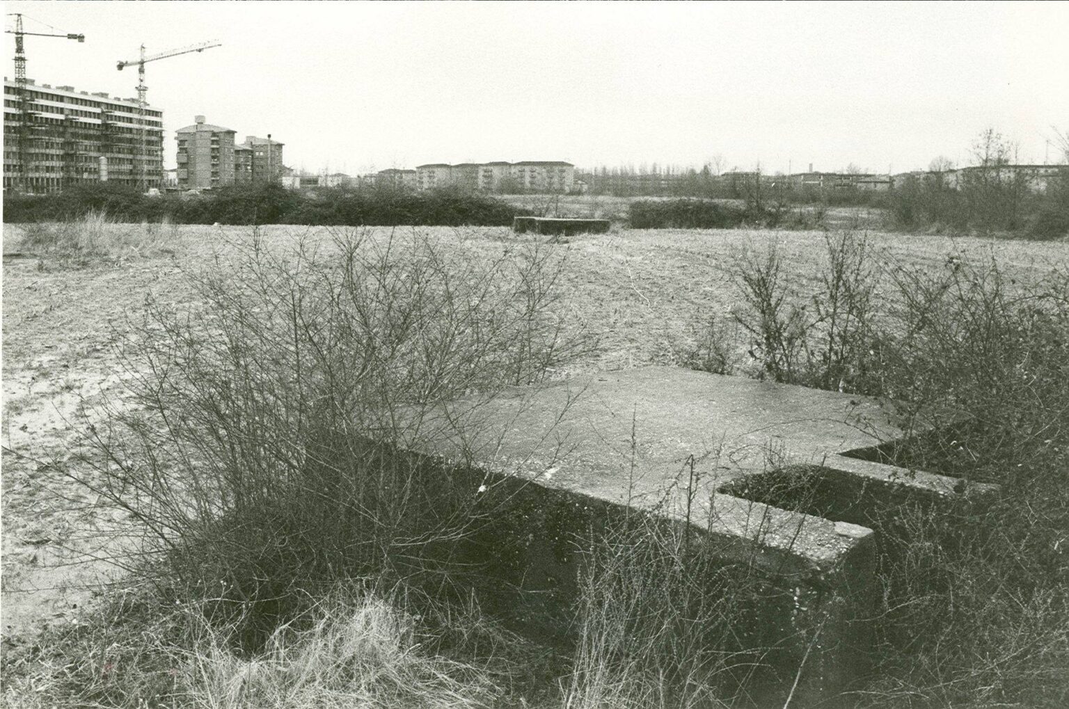 Bunker Bissuola