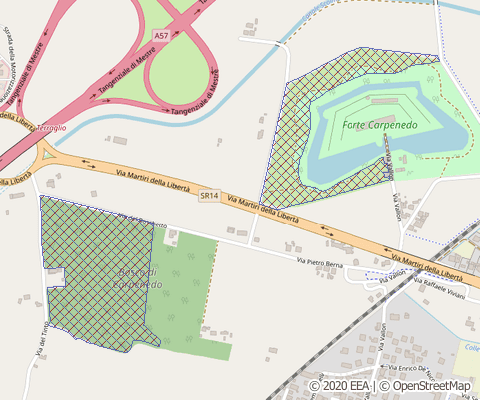 La posizione del Bosco e del Forte Carpenedo nell'area omonima