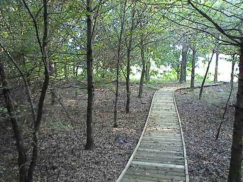 Sentiero nel Parco dell'Osellino