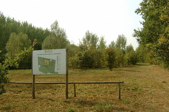 Un'area in realizzazione del Bosco di Carpenedo
