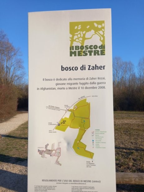 L'ingresso del bosco