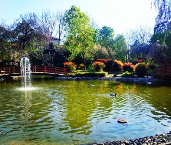 Laghetto Parco Piraghetto