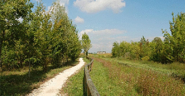 Sentieri all'interno del Bosco Ottolenghi