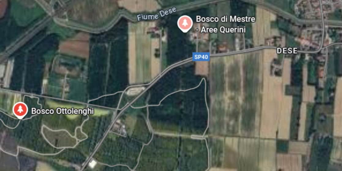 Bosco Querini Stampalia