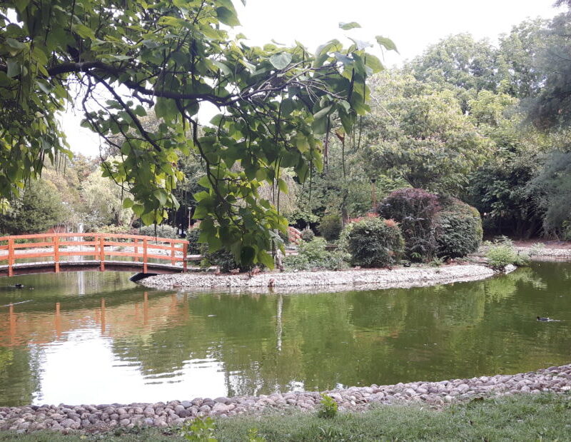 Parco Piraghetto