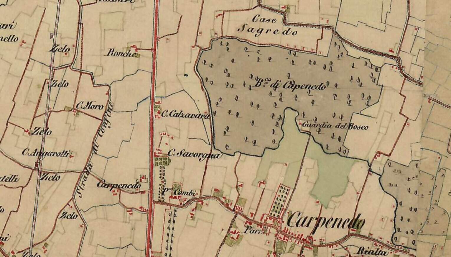 L'area di Carpenedo e il suo bosco nel 1829