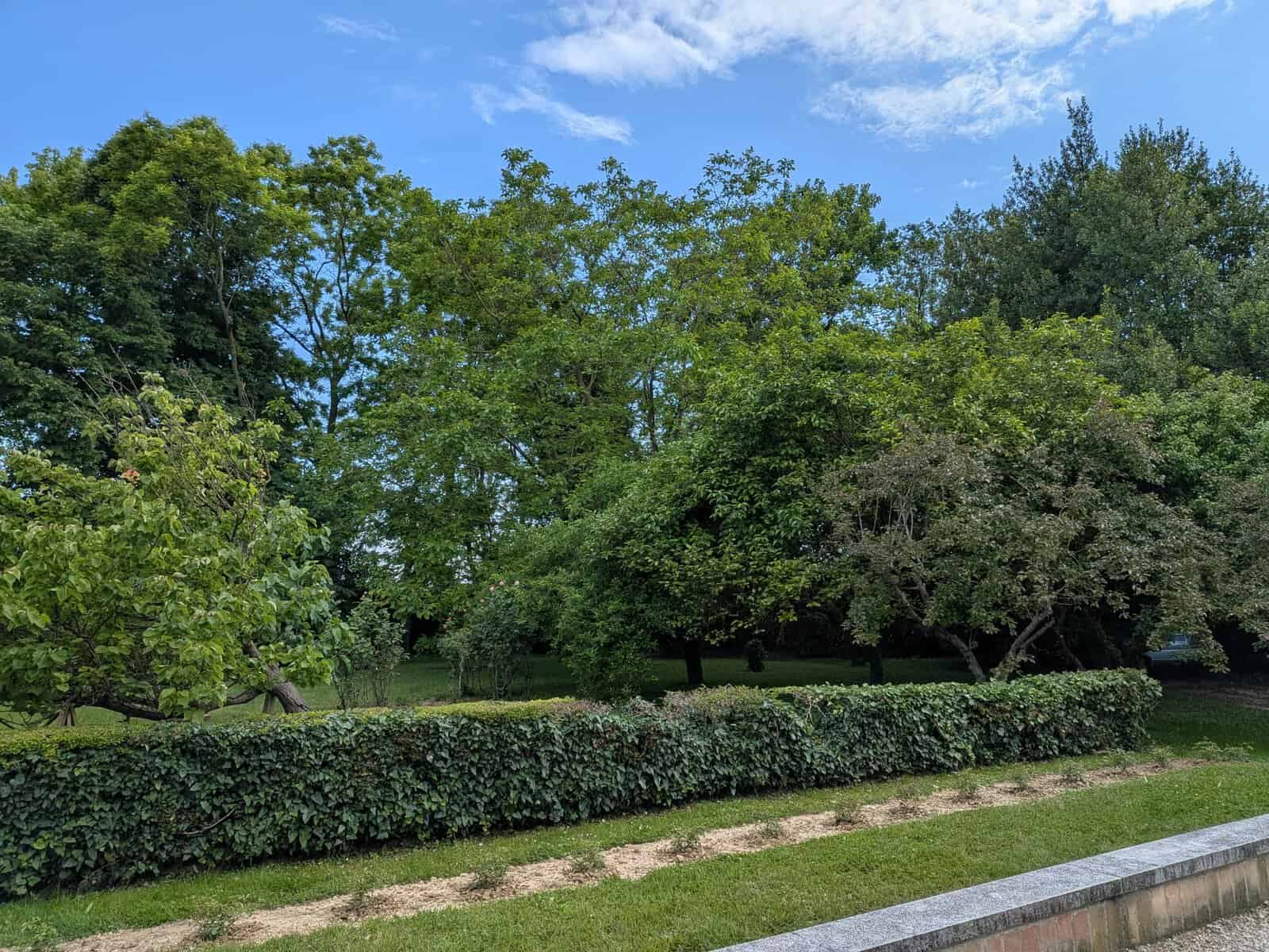 Particolare del parco