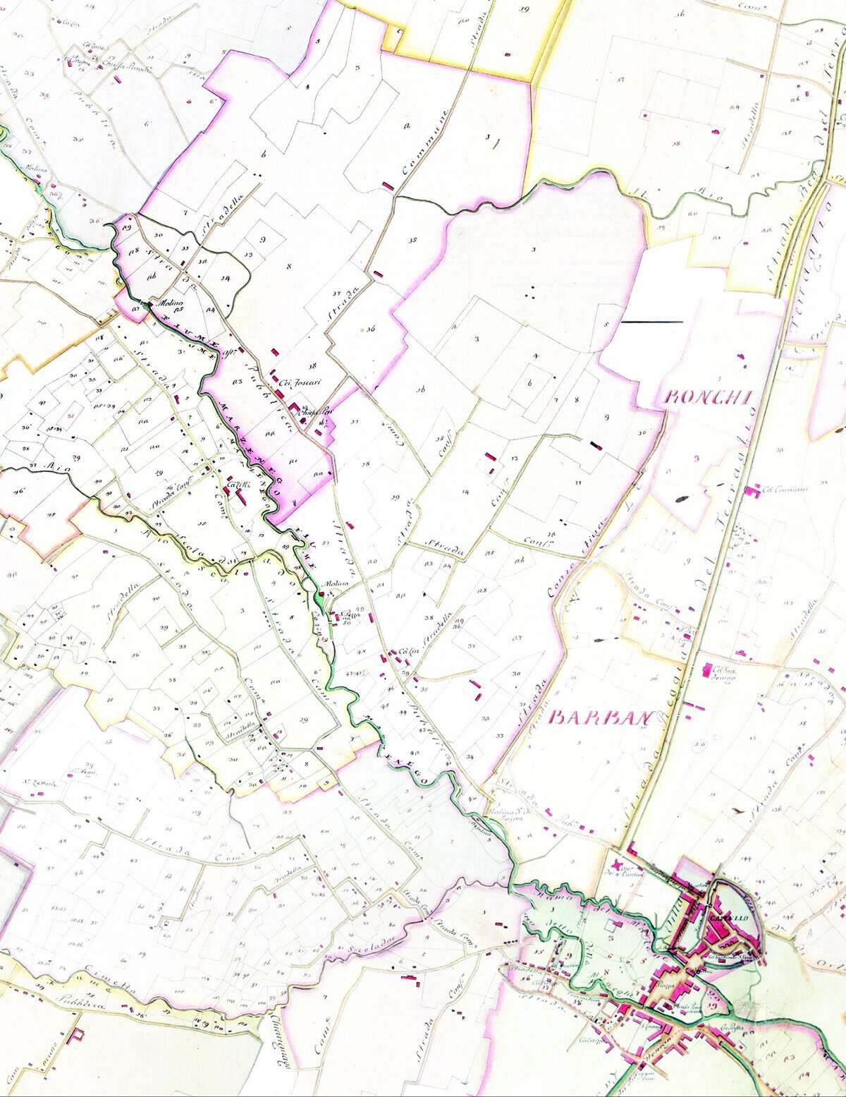 Il territorio fra Mestre, Barban e Ronchi nel Catastico di Tommaso Scalfuroto del 1781