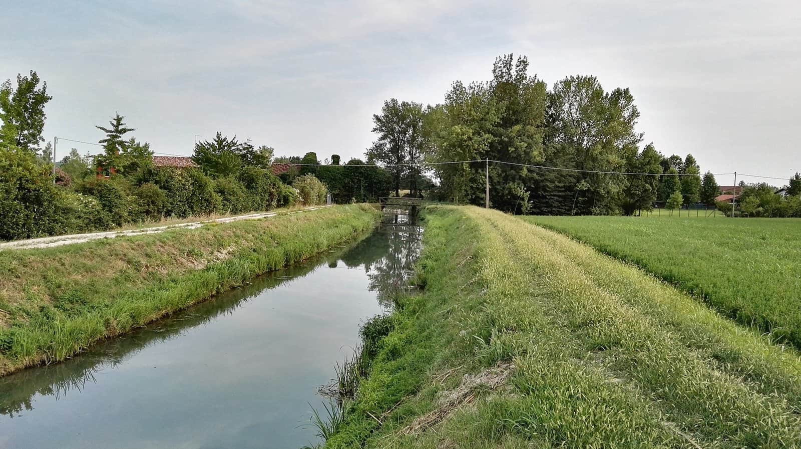Il Dese fra argini erbosi presso il mulino Bellato