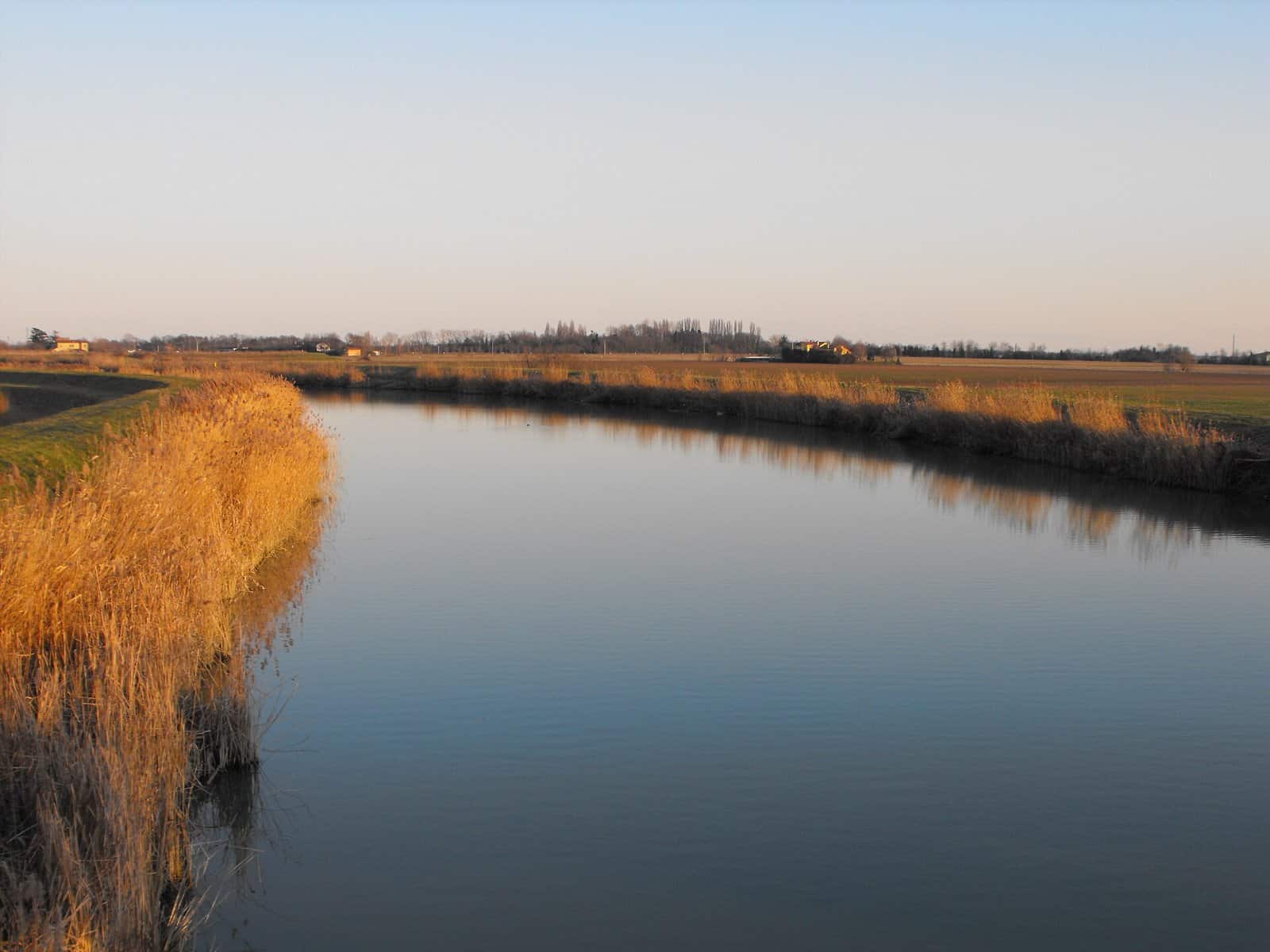 Il Dese largo e calmo fra canneti, nei pressi della foce