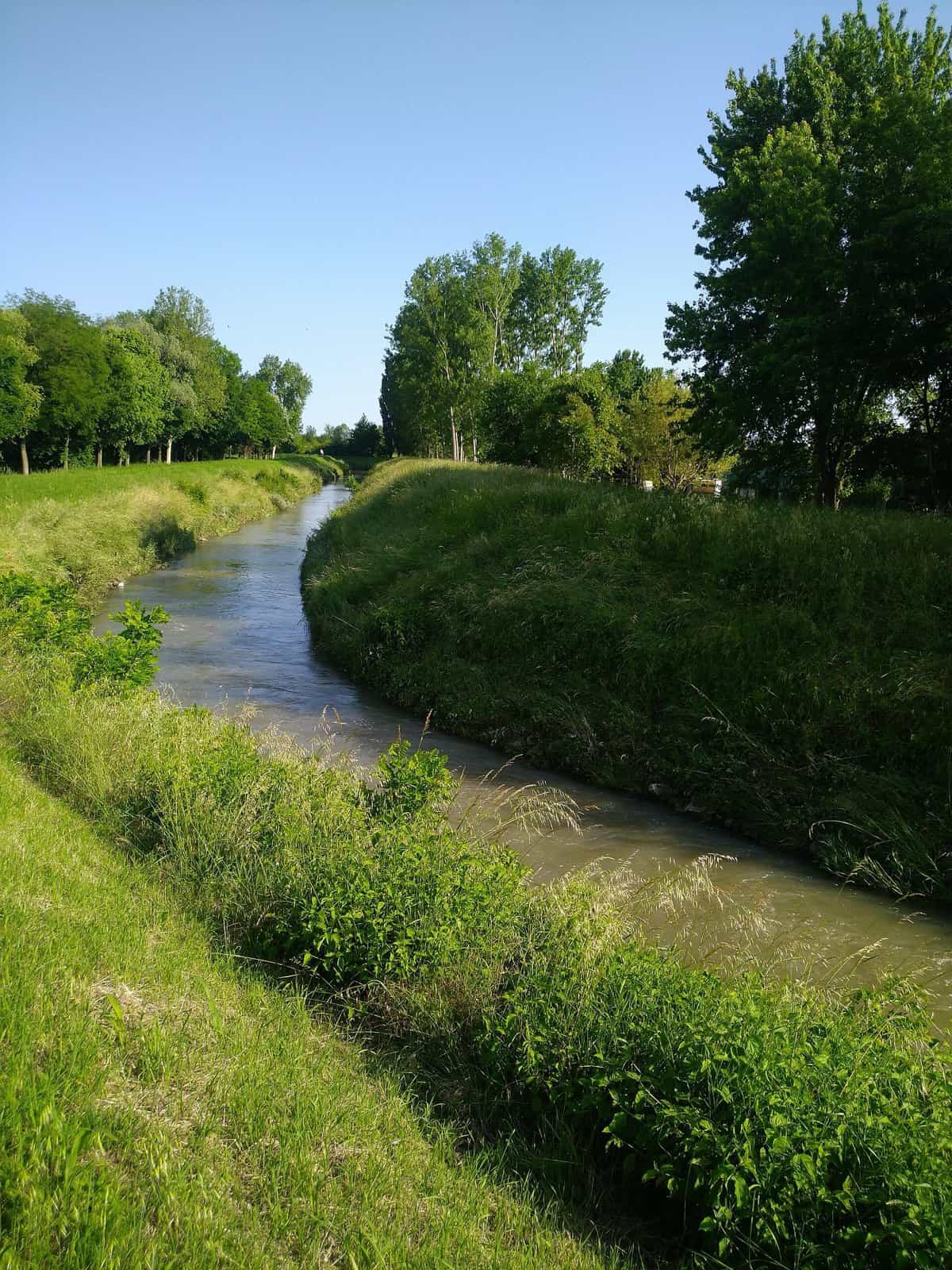 Il canale Muson Vecchio fra argini erbosi e alberi